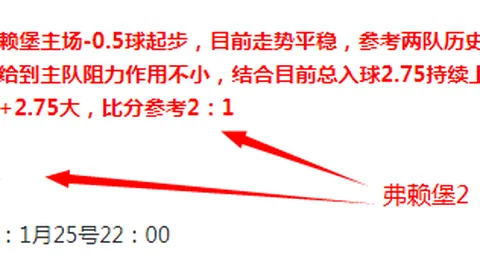 “2025澳网赛事前瞻：赛程公布、巨星风采与观赛指南出炉”